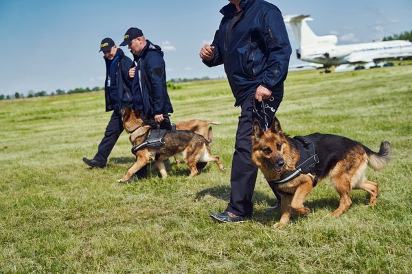 L'importance des dispositifs de détection de véhicules dans les angles morts pour les bus et camions